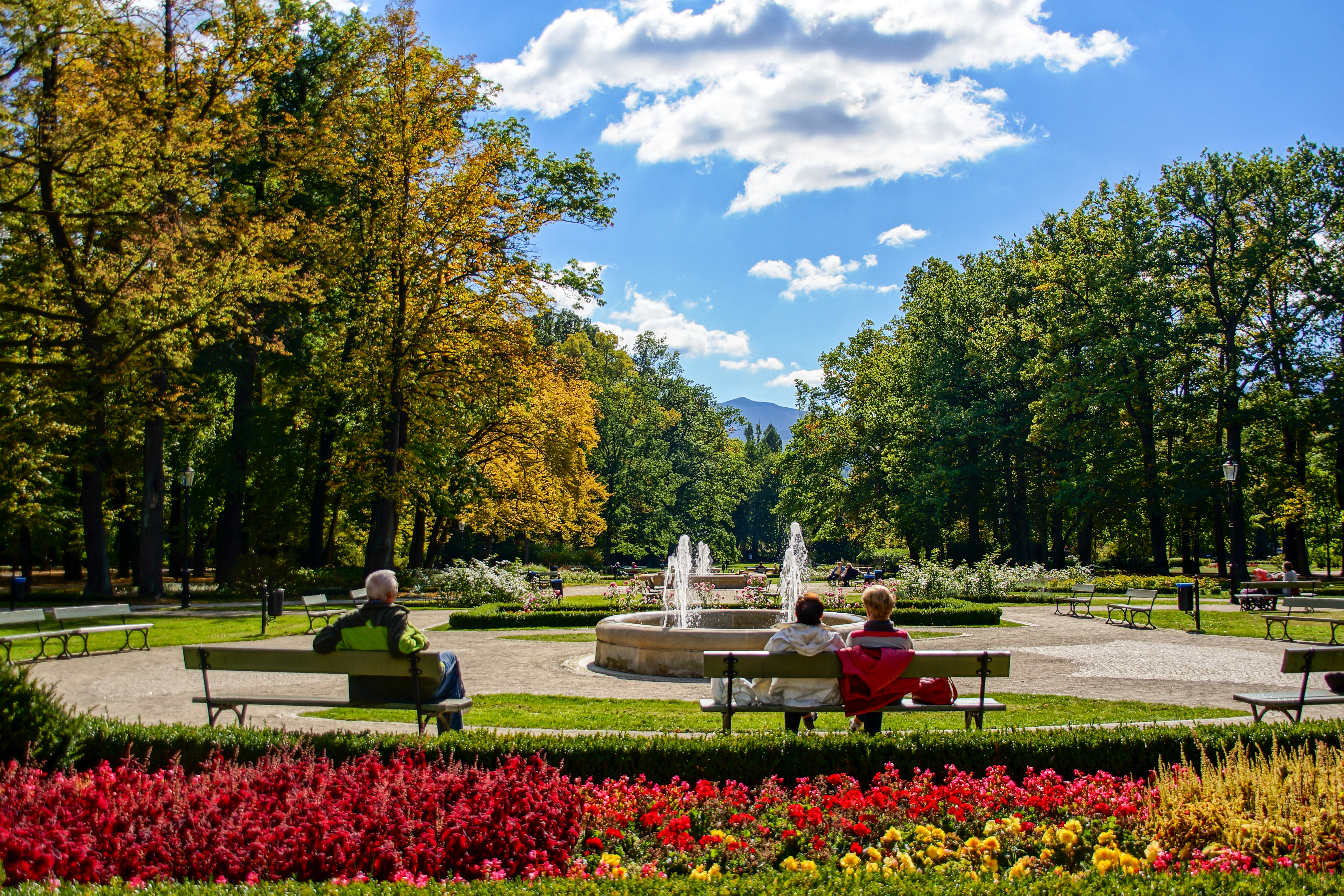 zdjęcie Park Zdrojowy